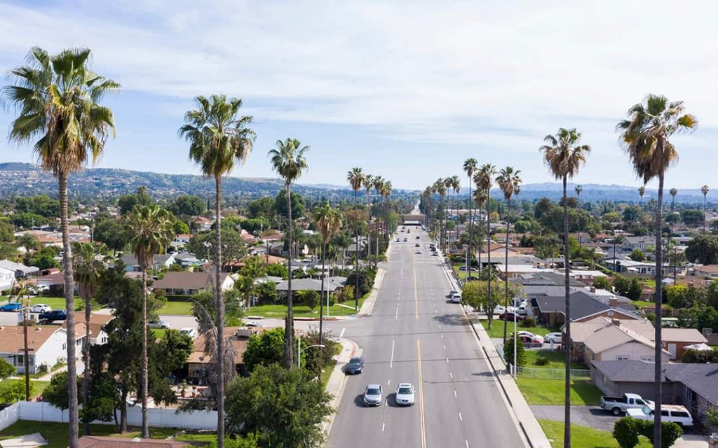 palm trees lining a street